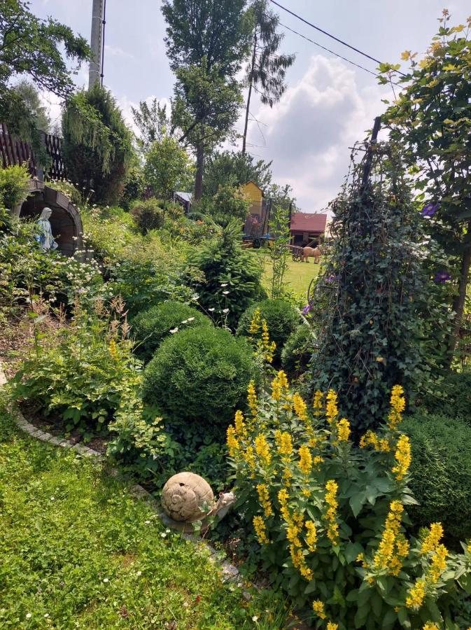 Noclegi U Ilony Чарна Гура Екстер'єр фото